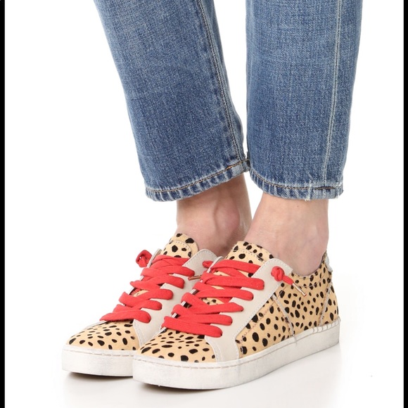 Dolce vita zalen leopard sneakers Clearance